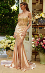 1 of 4 Elizabeth K GL3618 Champagne