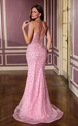 5 of 8 Ladivine CC3902 Pink