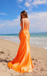 26 of 32 Nox Anabel A1590 Orange