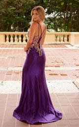 25 of 31 Nox Anabel C1613 Plum/Gold