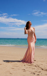 10 of 30 Nox Anabel F1568 Rose