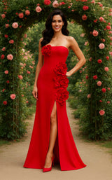 5 of 6 Terani 261e6698 Red