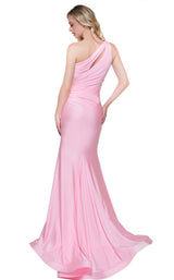 12 of 30 Colors Dress 2101