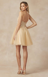 4 of 6 Juliet 864 Champagne