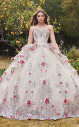 1 of 3 LaDivine 15703 Champagne