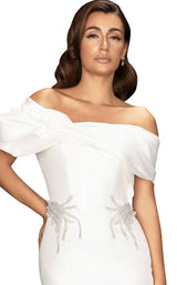 3 of 4 Terani 2011C2009 Ivory