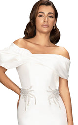 3 of 4 Terani 2011C2009 Ivory