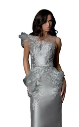 2 of 2 Terani 2021C2613 Taupe-Silver