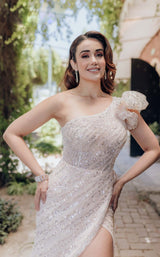 6 of 9 Terani 232GL1479 Cream