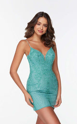 2 of 4 Alyce 4502 Pool