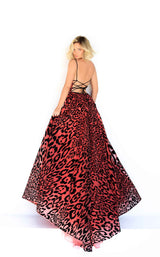 2 of 4 Tarik Ediz 50841 Coral