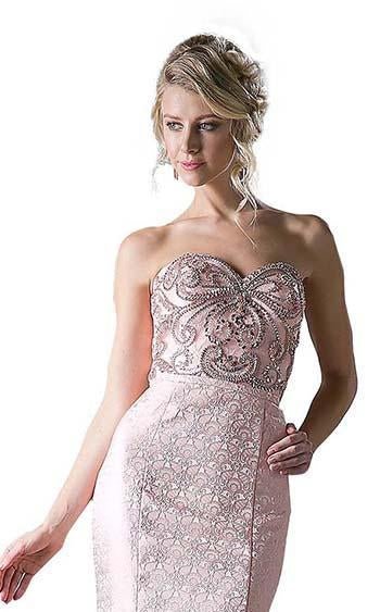 Cinderella Divine 8130 Blush