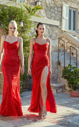 4 of 5 Aerie Couture 221 Dress