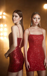4 of 4 Aerie Couture 808 Dress