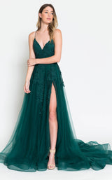 1 of 11 Amelia Couture BZ014 Emerald Green
