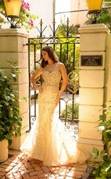 1 of 9 Amelia Couture SU081 Champagne