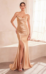 1 of 18 Amoris T704 Champagne/Gold