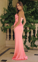 8 of 20 Amoris T820 Coral