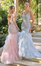 5 of 5 Andrea and Leo A1493 Blush