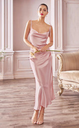 3 of 10 Cinderella Divine BD103 Desert Rose