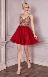 2 of 5 Cinderella Divine CD0190 Burgundy/Gold