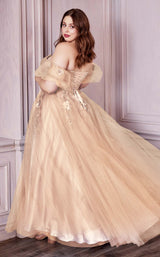 5 of 6 Cinderella Divine CD0191C Champagne