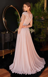 2 of 2 LaDivine CL05 Dusty Rose