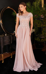 1 of 2 LaDivine CL05 Dusty Rose