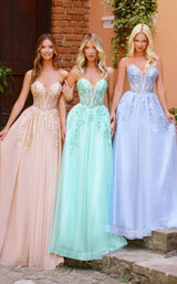 3 of 8 Clarisse 62102 Champagne