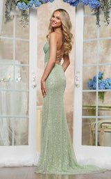 5 of 5 Colors Dress 3634 Sage