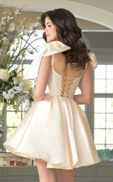 5 of 5 Colors Dress 3640 Champagne