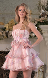 3 of 4 Colors Dress 3666 Blush