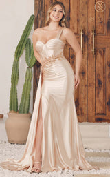 3 of 7 Nox Anabel E1239 Dress Champagne