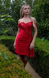 3 of 8 Elizabeth K GS3509 Red