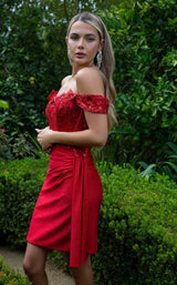 7 of 8 Elizabeth K GS3509 Red