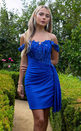 5 of 8 Elizabeth K GS3509 Royal Blue
