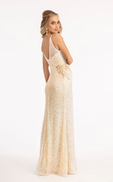 4 of 12 Elizabeth K GL3053 Champagne
