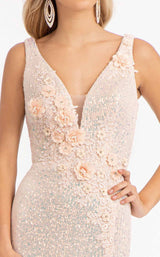 7 of 12 Elizabeth K GL3056 Blush