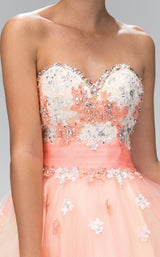 3 of 3 Elizabeth K GS2131 Coral