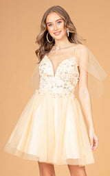 11 of 16 Elizabeth K GS3089 Champagne