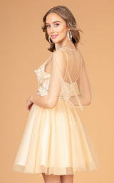 15 of 16 Elizabeth K GS3089 Champagne