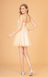 6 of 16 Elizabeth K GS3090 Champagne