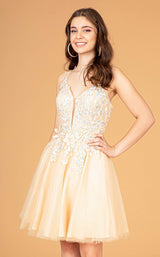 11 of 16 Elizabeth K GS3094 Champagne