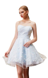 7 of 16 Jadore J14093 Dove