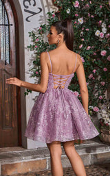 6 of 6 Jadore J26088 Tea Rose