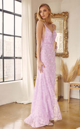 14 of 18 Juliet 272 Lilac