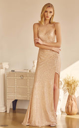 11 of 21 Juliet 273 Champagne