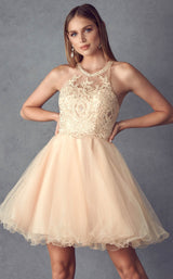 10 of 16 Juliet 826 Champagne