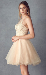 9 of 16 Juliet 826 Champagne