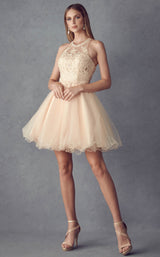 1 of 16 Juliet 826 Champagne